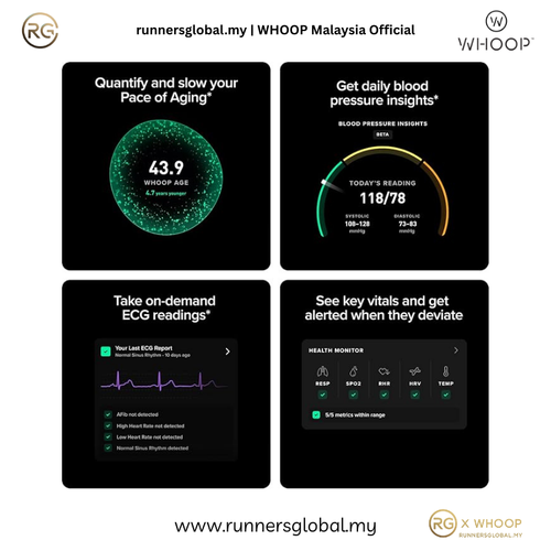 Whoop Life + 12 Months Membership